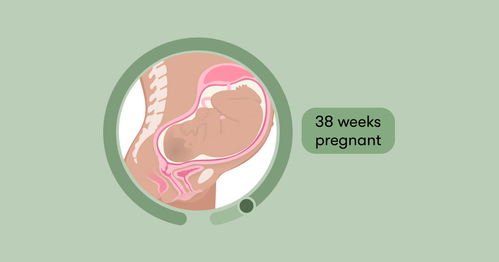 38 weeks pregnant Symptoms tips and baby development